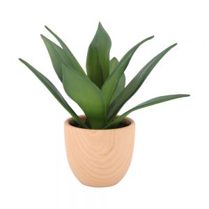 Chậu Cây Lưỡi Hổ WOODA 20x20x23 CM Màu Xanh lá